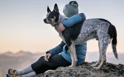 Grieving the Loss of a Pet