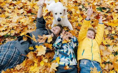 Should your kids be playing in leaf piles?